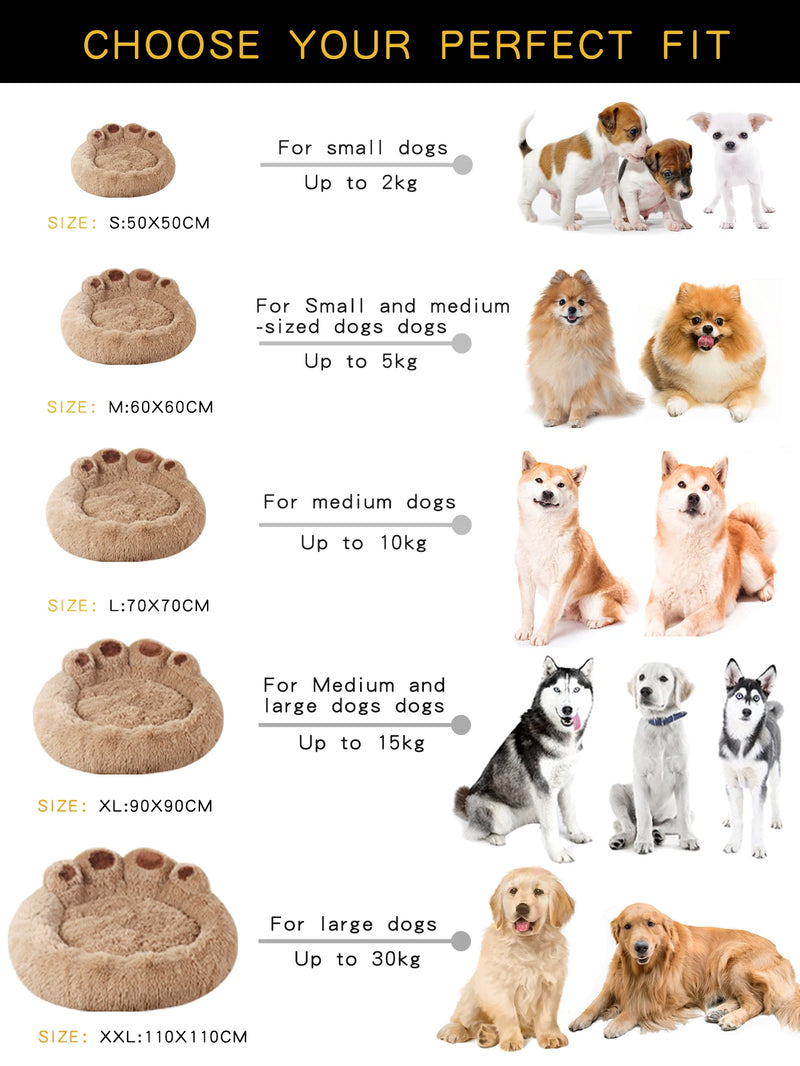 Caminha De Cachorros