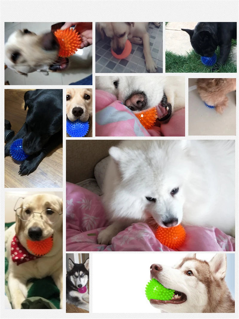 Bolinha de Pets