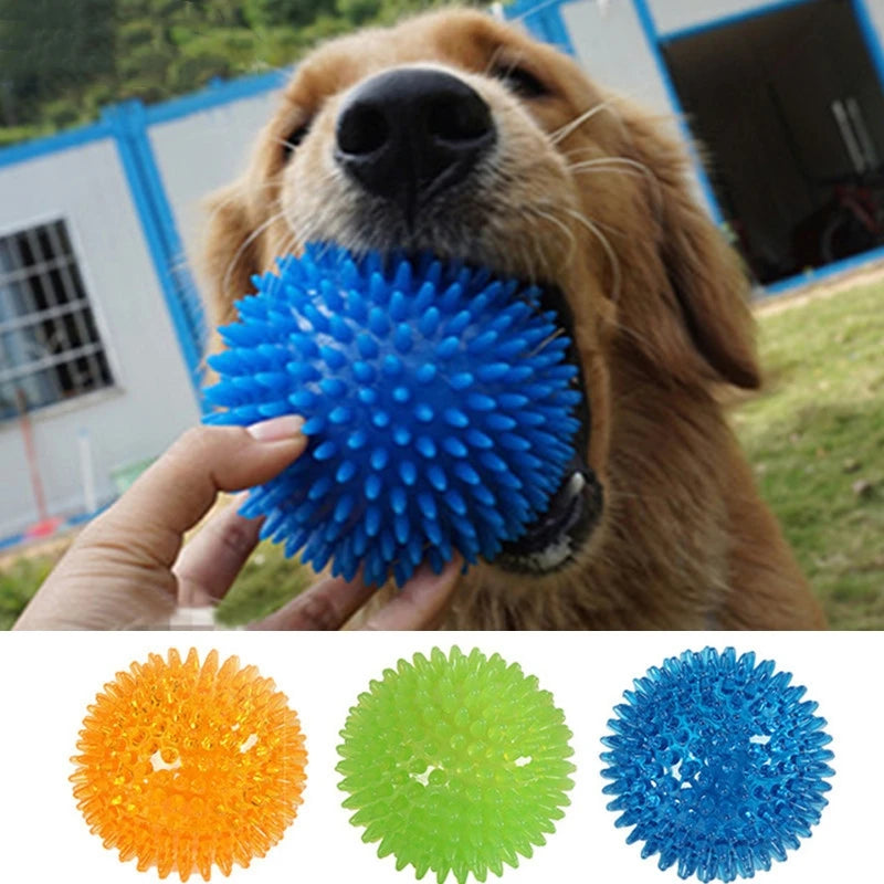Bolinha de Pets